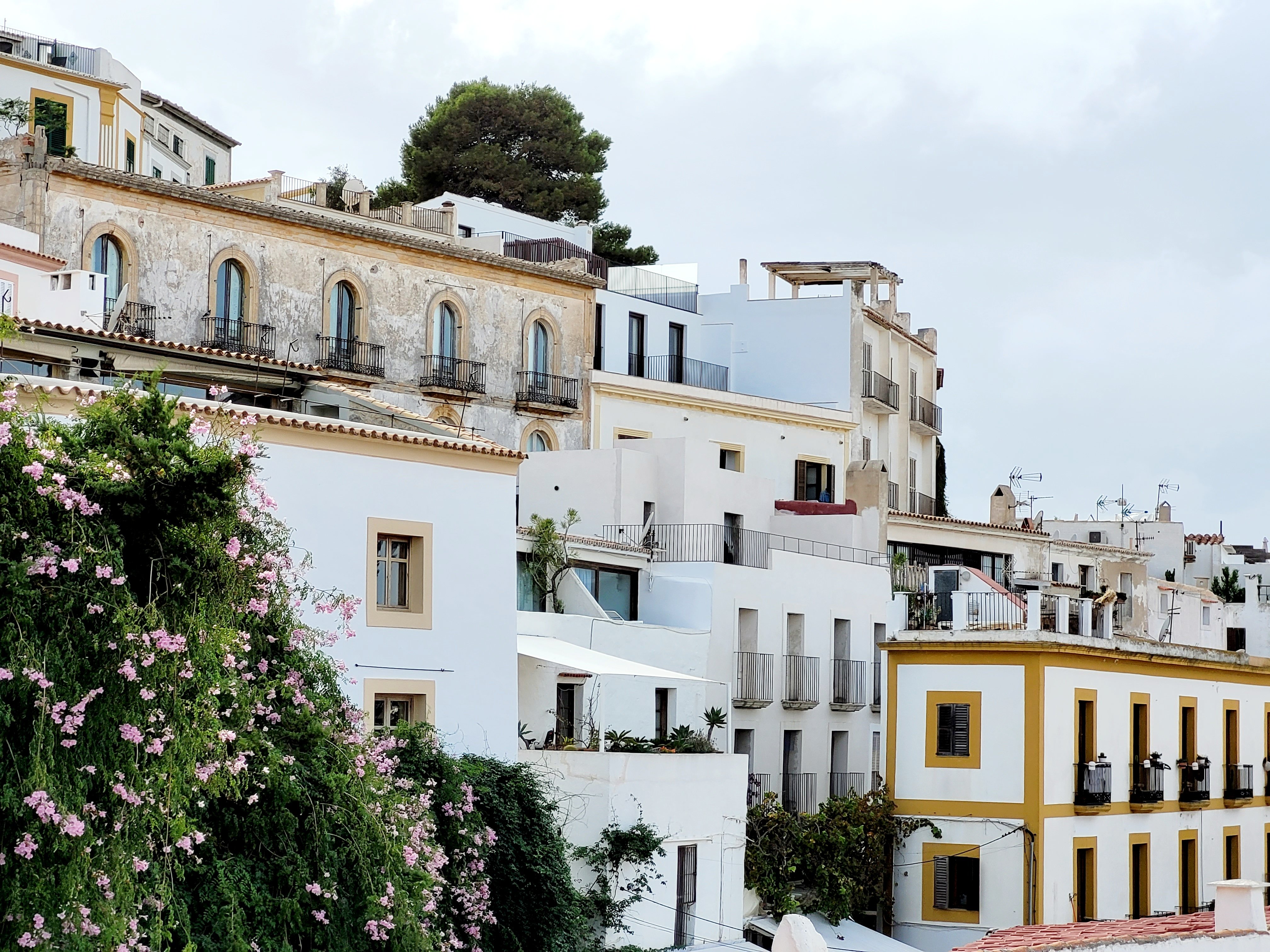 Ibiza Gutachter Bauschäden Baumängel Schäden Mängel Kosten Beweissicherung Verkehrswertgutachten Kurzgutachten Hauskaufberatung Kaufberatung Gutachter Baugutachter Bausachverständiger Immobilie kaufen verkaufen Kauf Verkauf ABELS Immobilienbewertung Immobiliengutachter für Immobilienbewertung Verkehrswertgutachten Kurzgutachten Wertgutachten Gutachten Immobiliengutachten Kaufberatung Hauskaufberatung Due Diligence Bauabnahmeauf Ibiza Ibiza-Stadt Santa Eulària des Riu Sant Antoni de Portmany Sant Josep de sa Talaia Sant Joan de Labritja Es Canar Santa Gertrudis de Fruitera Sant Carles de Peralta Sant Miquel de Balansat Sant Llorenç de Balàfia Cala de Sant Vicent Jesús Puig den Valls Sant Jordi de ses Salines Es Cubells Cala Llonga Portinatx Cala Tarida Sant Agustí des Vedrà Sant Mateu dAlbarca Buscastell Sa Cala Talamanca Siesta Es Figueral Es Puig den Valls Ibiza Gutachter Bauschäden Baumängel Schäden Mängel Kosten Beweissicherung Verkehrswertgutachten Kurzgutachten Hauskaufberatung Kaufberatung Gutachter Baugutachter Bausachverständiger Immobilie kaufen verkaufen Kauf Verkauf ABELS Immobilienbewertung Immobiliengutachter für Immobilienbewertung Verkehrswertgutachten Kurzgutachten Wertgutachten Gutachten Immobiliengutachten Kaufberatung Hauskaufberatung Due Diligence Bauabnahmeauf Ibiza Ibiza-Stadt Santa Eulària des Riu Sant Antoni de Portmany Sant Josep de sa Talaia Sant Joan de Labritja Es Canar Santa Gertrudis de Fruitera Sant Carles de Peralta Sant Miquel de Balansat Sant Llorenç de Balàfia Cala de Sant Vicent Jesús Puig den Valls Sant Jordi de ses Salines Es Cubells Cala Llonga Portinatx Cala Tarida Sant Agustí des Vedrà Sant Mateu dAlbarca Buscastell Sa Cala Talamanca Siesta Es Figueral Es Puig den Valls