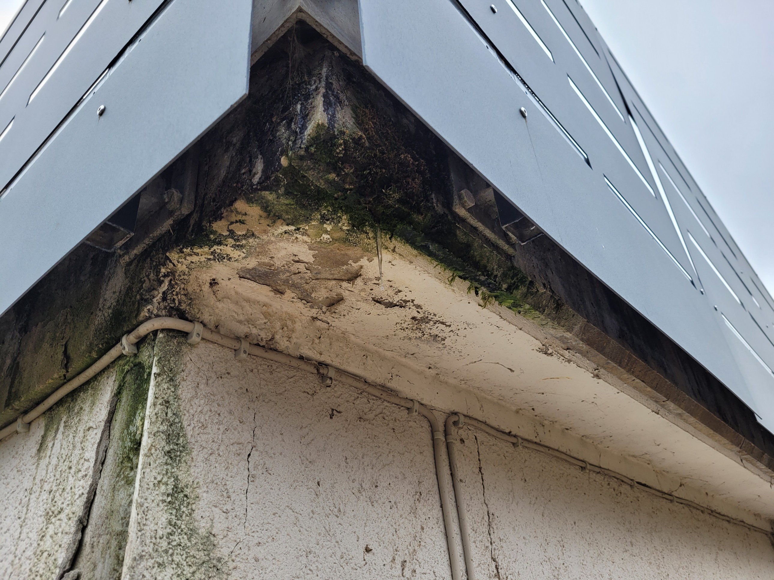 Kurzgutachten Flacht Immobilienbewertung Bauzustandsfeststellung Immobiliengutachter Gutachter