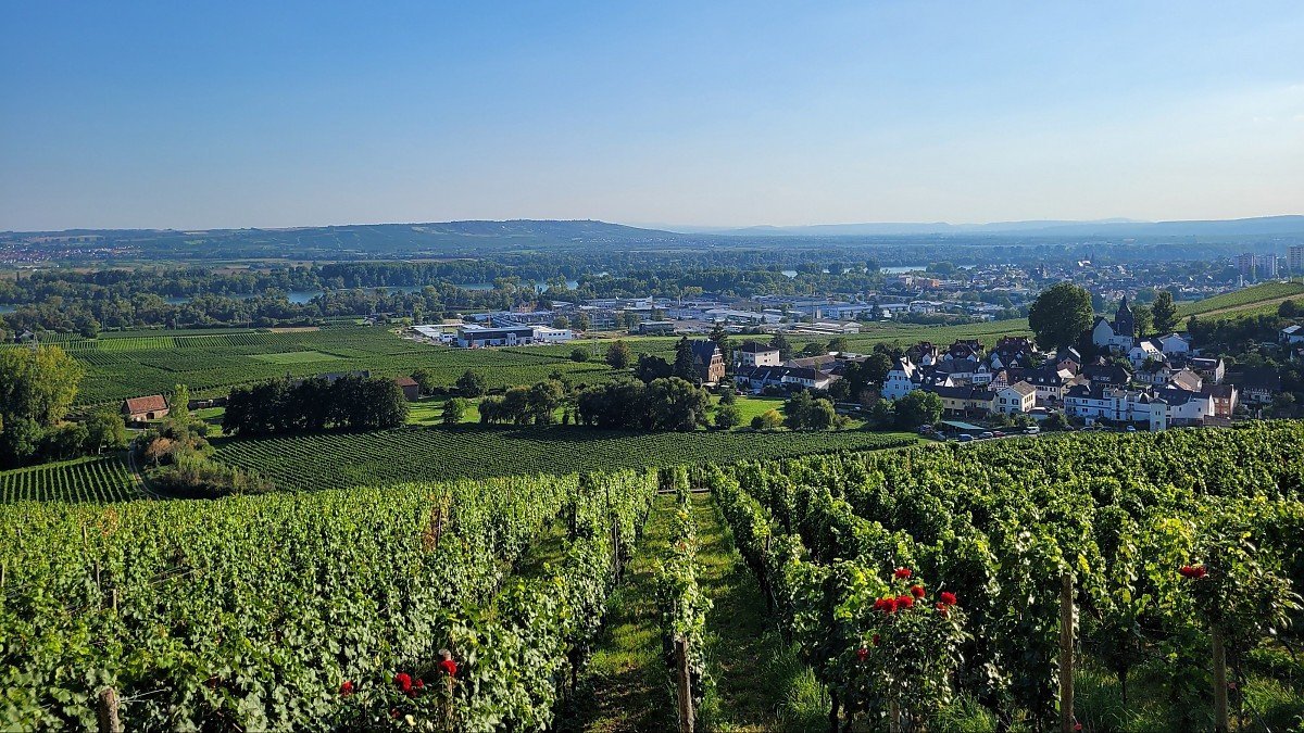 Verkehrswertgutachten, Kurzgutachten und Kaufberatung durch Immobiliengutachter in Idstein, Dasbach, Ehrenbach, Eschenhahn, Heftrich, Kröftel, Lenzhahn, Niederauroff, Nieder-Oberrod, Oberauroff, Walsdorf, Wörsdorf, Bad Camberg, Waldems, Glashütten, Eppstein, Niedernhausen, Taunusstein, Hünstetten Immobiliengutachter für Verkehrswertgutachten, Kurzgutachten und Kaufberatung in Idstein, Dasbach, Ehrenbach, Eschenhahn, Heftrich, Kröftel, Lenzhahn, Niederauroff, Nieder-Oberrod, Oberauroff, Walsdorf, Wörsdorf, Bad Camberg, Waldems, Glashütten, Eppstein, Niedernhausen, Taunusstein, Hünstetten