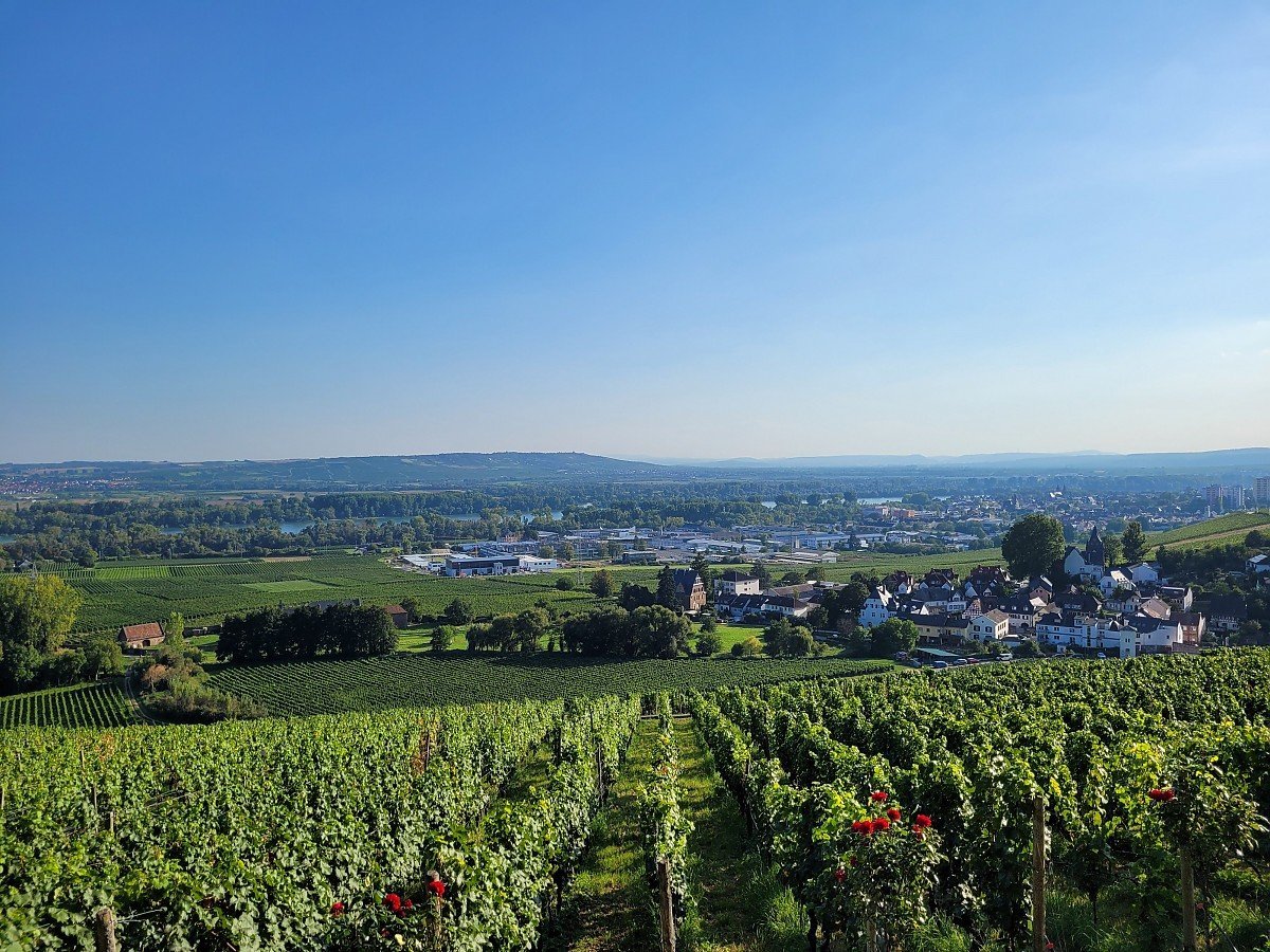 Deutschlandweit Immobiliengutachter f�r Immobilienbewertung, Verkehrswertgutachten und Kurzgutachten in Gro�-, Mittel- und Kleinst�dten im Rhein-Main-Gebiet wie Frankfurt, Wiesbaden, Mainz, Darmstadt und Umgebung